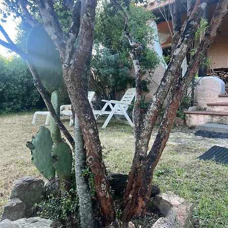 Apartmán L' Erica - Vittori's - Costa Smeralda Cugnana Verde